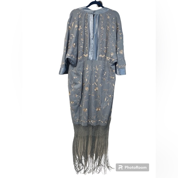 NWT Asos Curve Blue satin and Embroidered Fringe Dress - Picture 8 of 13